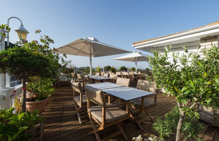 Tagterrase med beplantning 