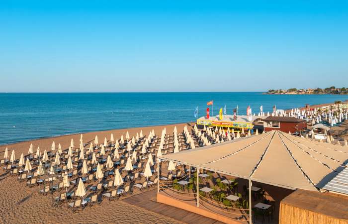 Strandbaren Litus