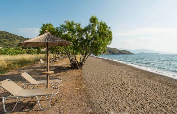 Skøn strand foran hotellet 